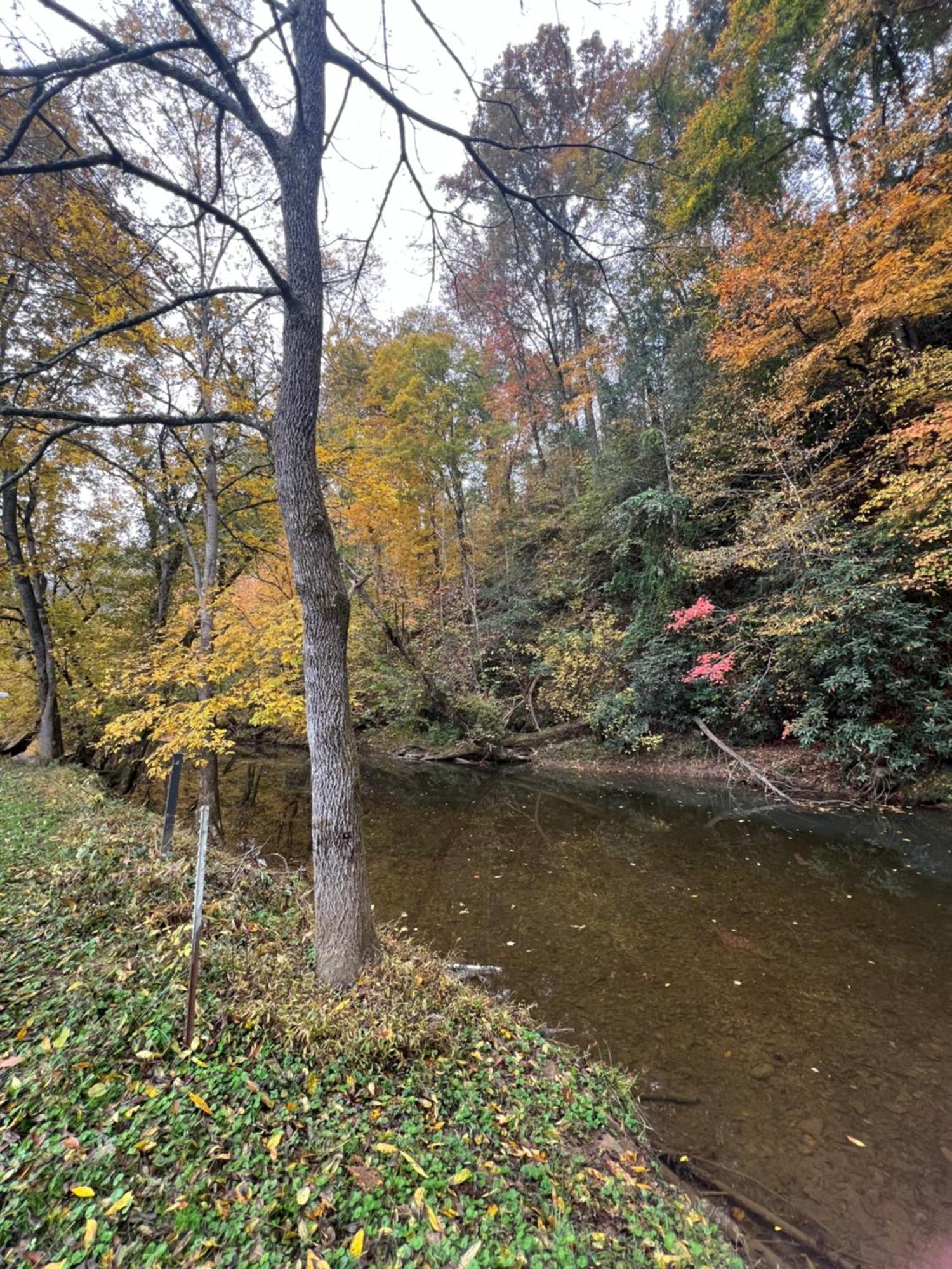 Firefly Fields 2-Acres With Guest House, Game Room, Mountain & River Views Sevierville Eksteriør bilde